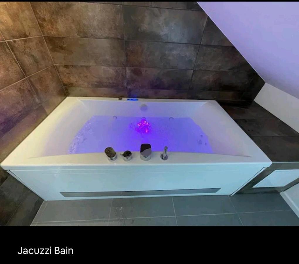 Loft Neuf Avec Bain Jacuzzi Et Terrasse Apartment Colmar Exterior photo